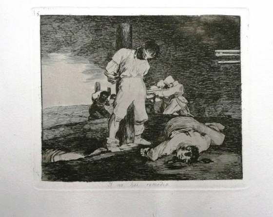 Francisco Goya: Es gibt kein Gegenmittel
