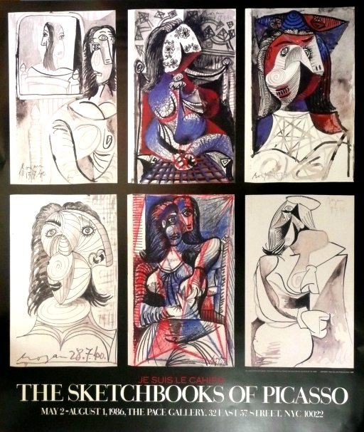Picasso: The Scetchbooks of Picasso